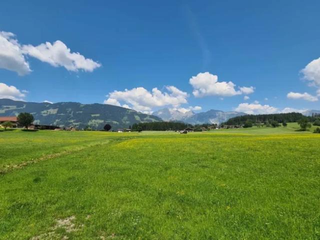 Wohnung mieten in Saalfelden, Salzburg