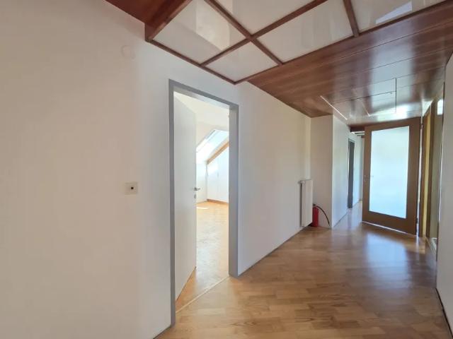Wohnung mieten in St. Stefan im Rosental, Steiermark