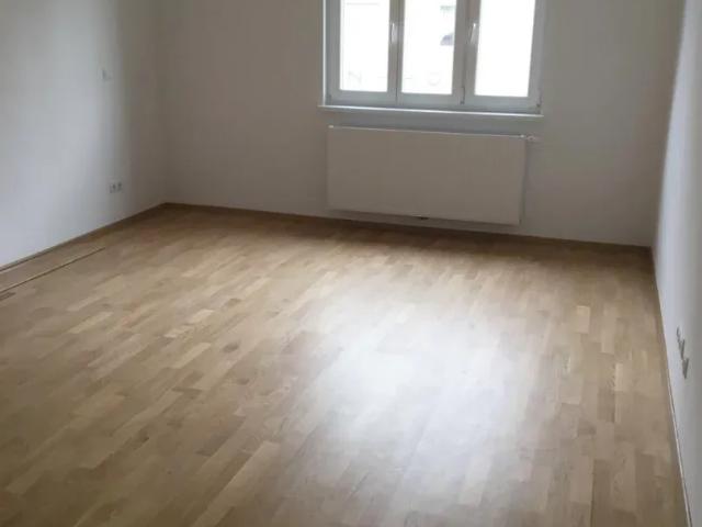 Wohnung mieten in Schwechat, Niederösterreich