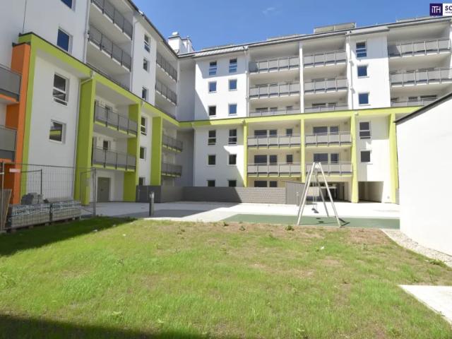 Wohnung mieten in Schwechat, Niederösterreich