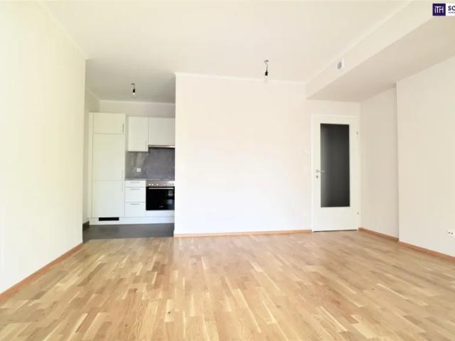 Wohnung mieten in Schwechat, Niederösterreich