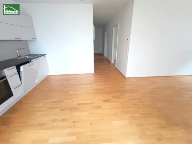 Wohnung mieten in Katastralgemeinde St. Pölten, St. Pölten