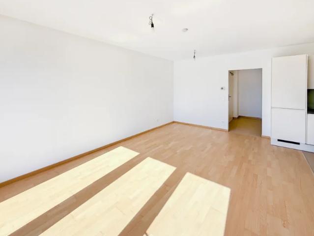 Wohnung mieten in Niederösterreich