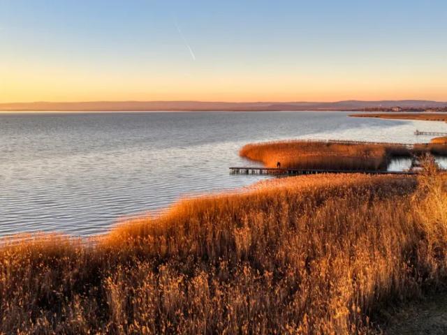 Wohnung mieten in Weiden am See, Burgenland