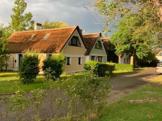 Wohnung mieten in Weiden am See, Burgenland