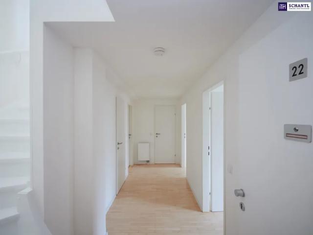 Wohnung mieten in Wien