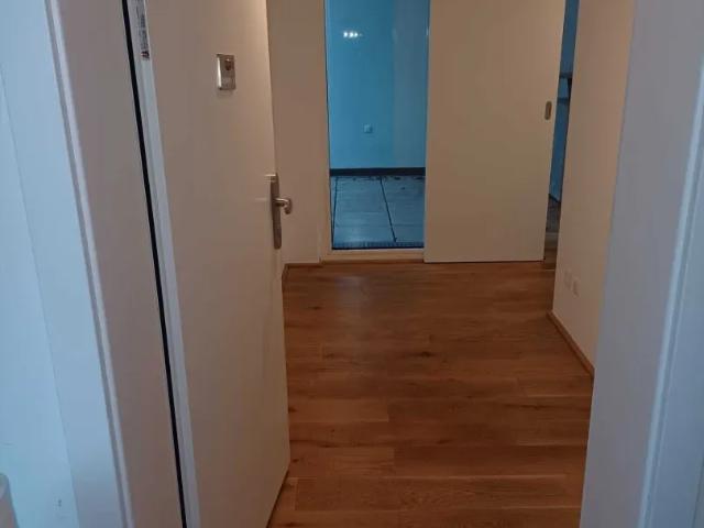 Wohnung mieten in Seestadt, Wien