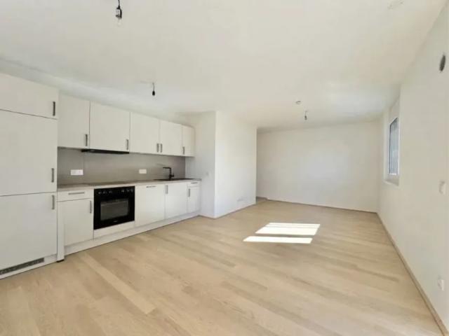 Wohnung mieten in Seestadt, Wien
