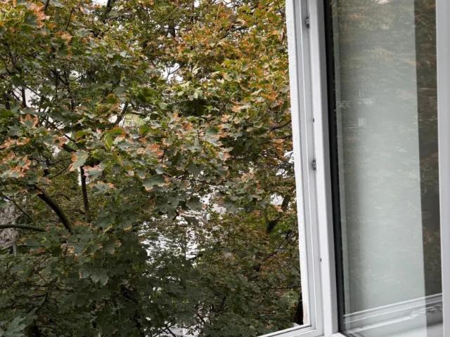 Wohnung mieten in Donaustadt, Wien