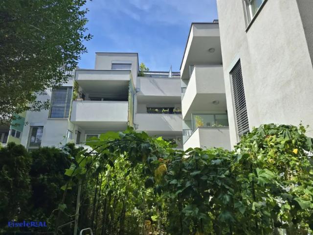 Wohnung mieten in Donaustadt, Wien