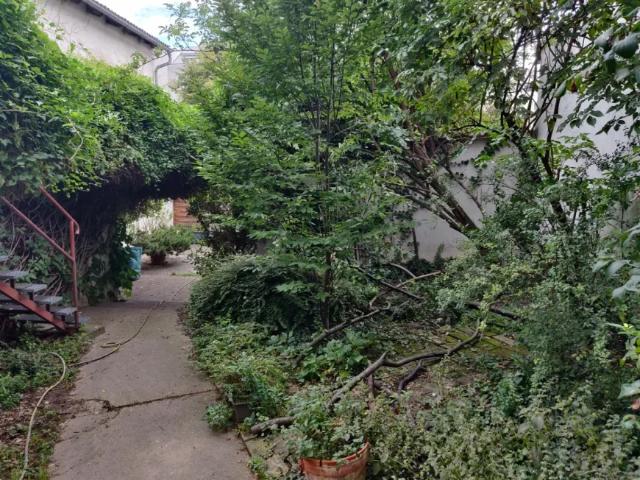 Wohnung mieten in Donaustadt, Wien