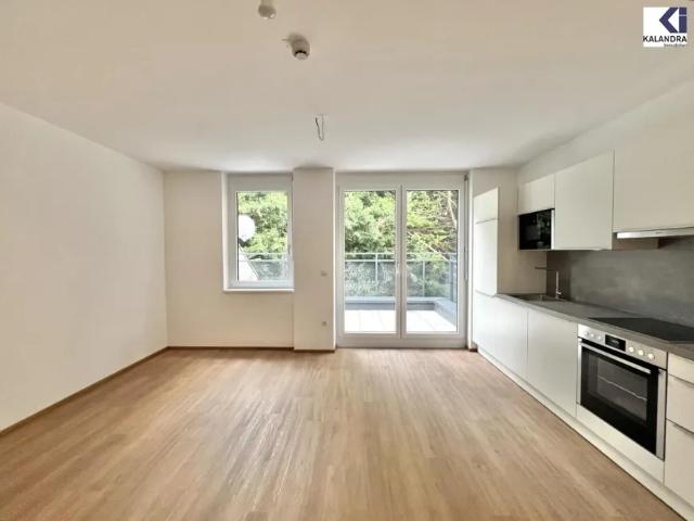 Wohnung mieten in Donaustadt, Wien