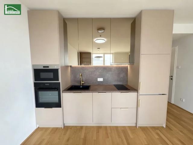 Wohnung mieten in Seestadt, Wien
