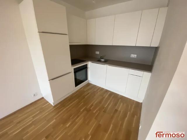 Wohnung mieten in Seestadt, Wien