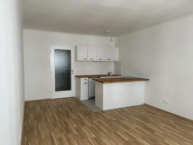 Wohnung mieten in Donaustadt, Wien