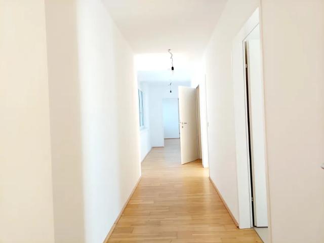 Wohnung mieten in Seestadt, Wien