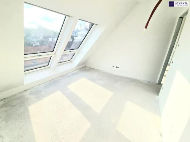 Wohnung mieten in Donaustadt, Wien