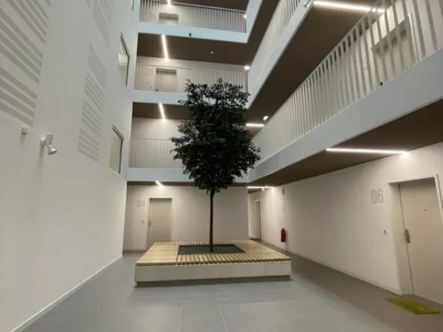 Wohnung mieten in Donaustadt, Wien