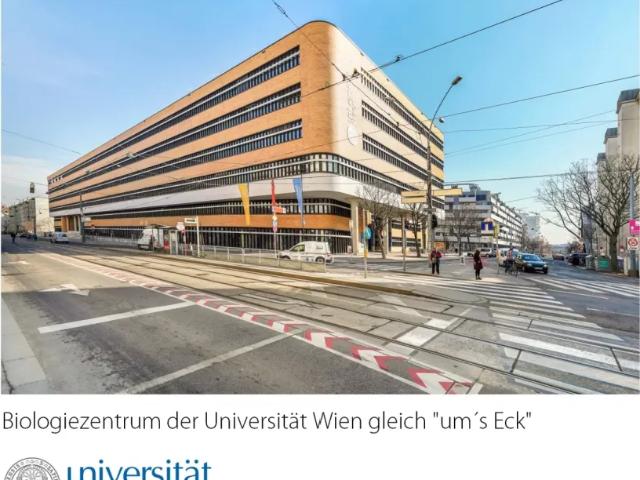 Wohnung mieten in Donaustadt, Wien