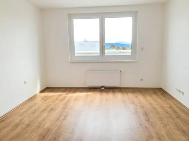 Wohnung mieten in Wiener Neustadt, Niederösterreich