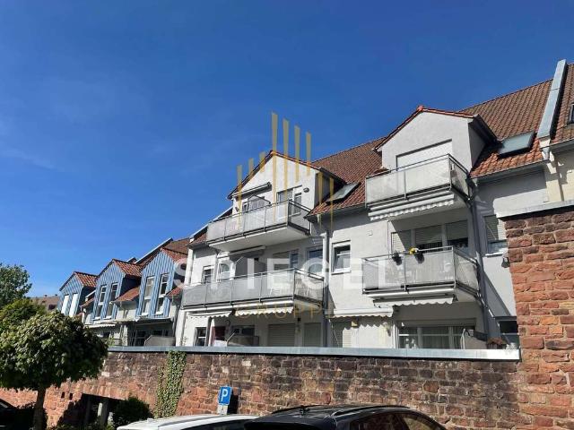 Wohnung kaufen in Amorbach