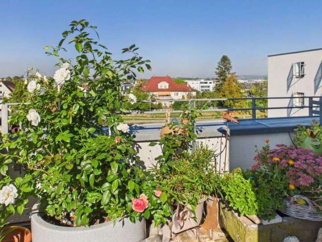 Wohnung kaufen in Unterkrozingen, Bad Krozingen