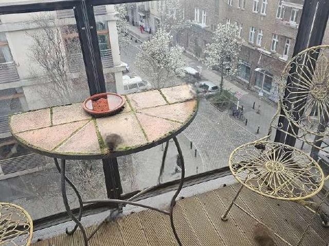 Wohnung kaufen in Mitte, Berlin