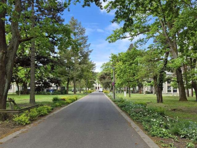 Wohnung kaufen in Treptow–Köpenick, Berlin