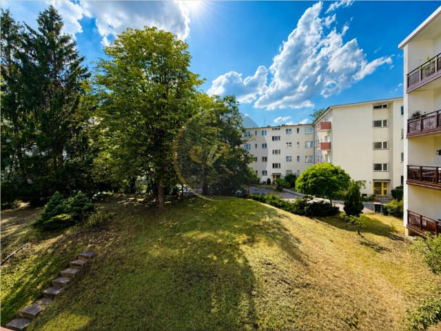 Wohnung kaufen in Zehlendorf, Berlin