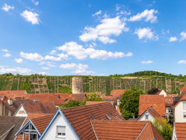 Wohnung kaufen in Besigheim, Baden-Württemberg