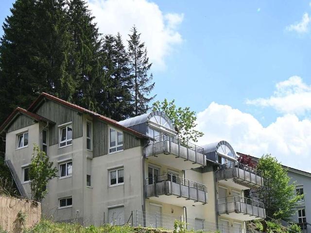 Wohnung kaufen in Dorf (Biederbach), Biederbach