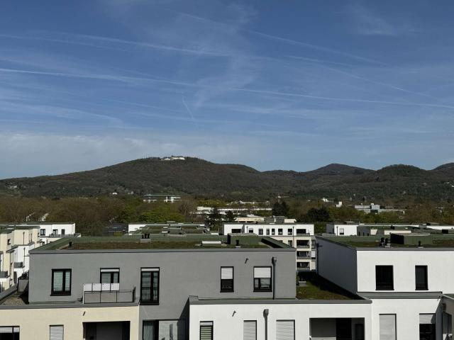 Wohnung kaufen in Bad Godesberg, Bonn