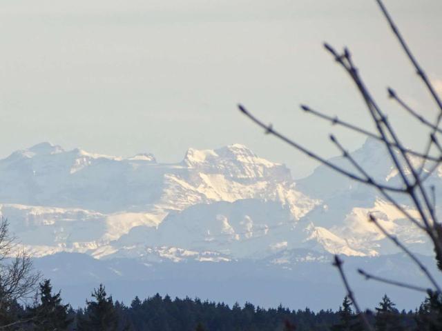 Wohnung kaufen in Bonndorf, Baden-Württemberg