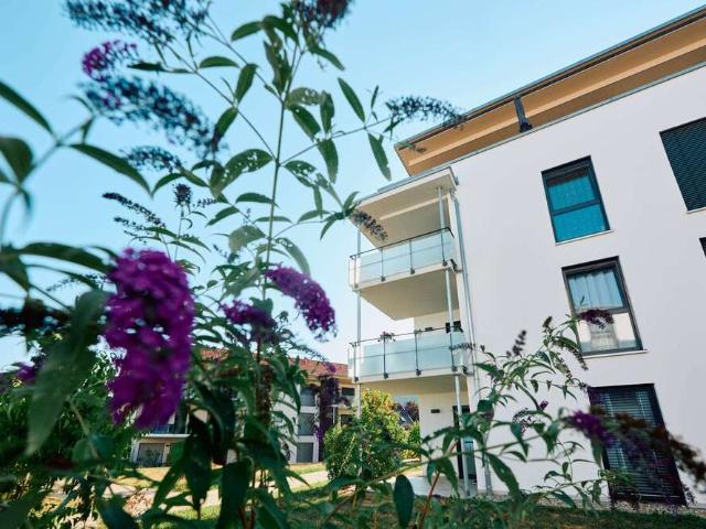 Wohnung kaufen in Denkingen, Baden-Württemberg