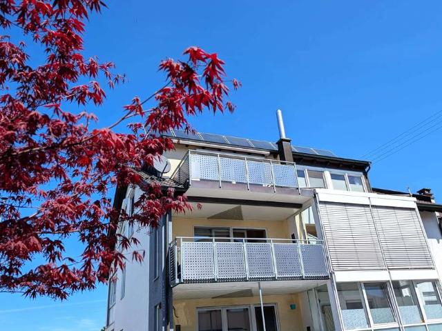 Wohnung kaufen in Dietenheim, Baden-Württemberg