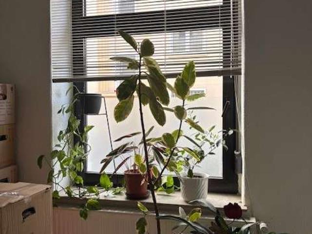 Wohnung kaufen in Asseln, Dortmund