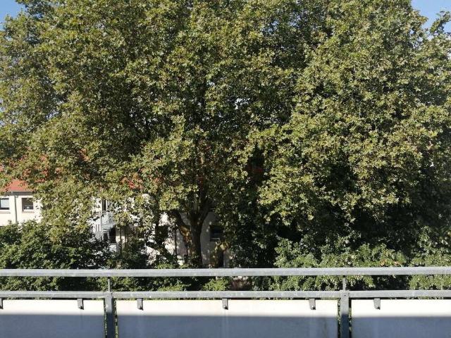 Wohnung kaufen in Kaiserstraßenviertel, Dortmund