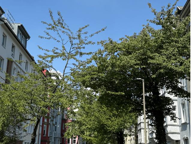 Wohnung kaufen in Körne, Dortmund