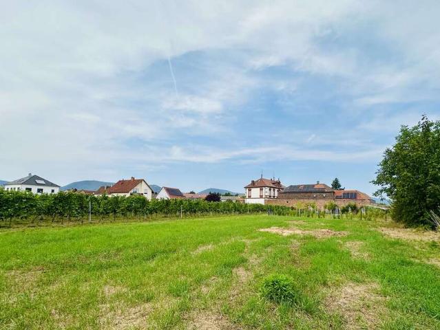 Wohnung kaufen in Edesheim, Rheinland-Pfalz