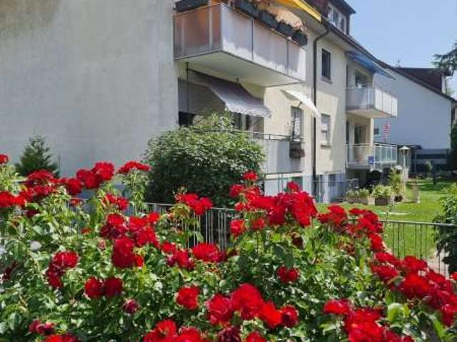Wohnung kaufen in Edingen-Neckarhausen, Baden-Württemberg