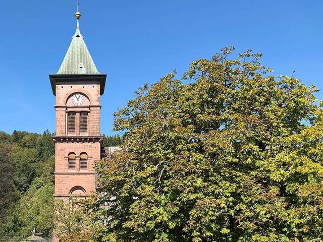 Wohnung kaufen in Elzach