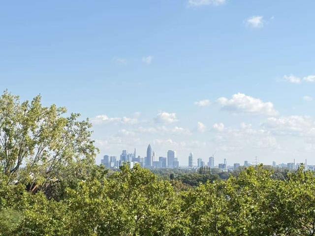 Wohnung kaufen in Sossenheim, Sachsenhausen