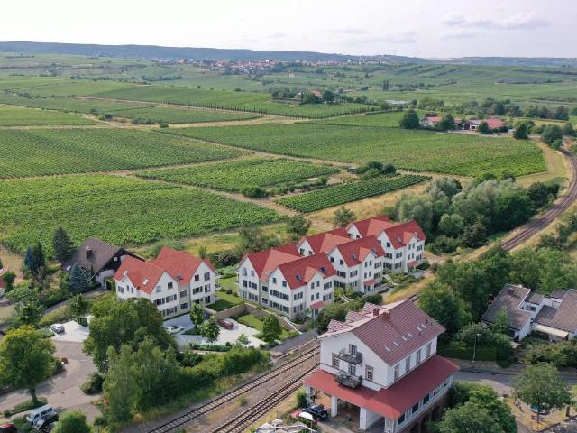 Wohnung kaufen in Freinsheim, Rheinland-Pfalz