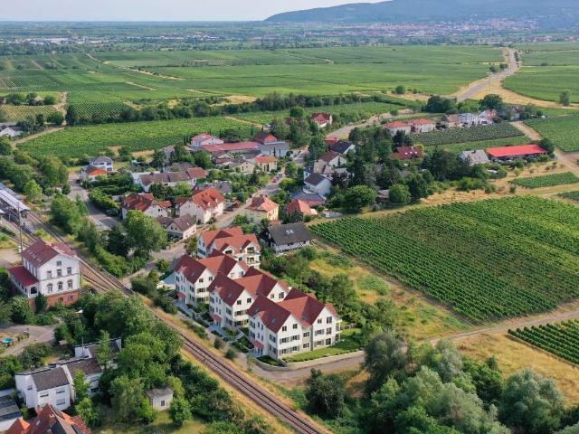 Wohnung kaufen in Freinsheim, Rheinland-Pfalz
