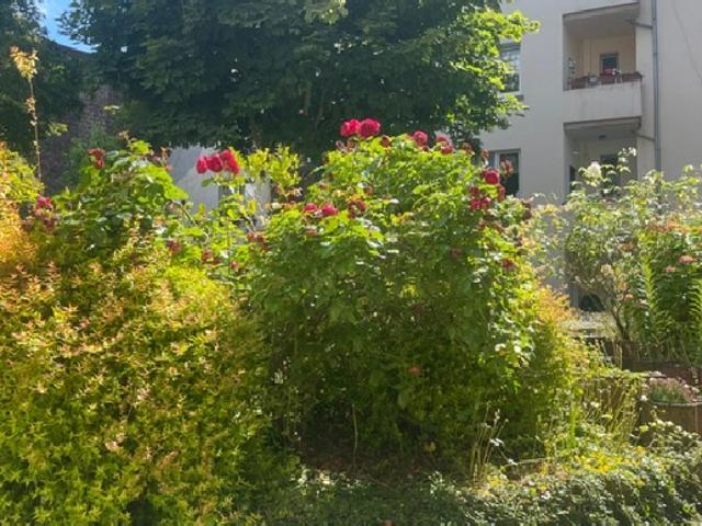 Wohnung kaufen in Boele, Hagen
