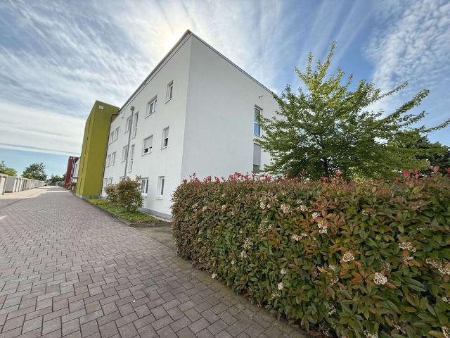Wohnung kaufen in Haßloch, Rheinland-Pfalz