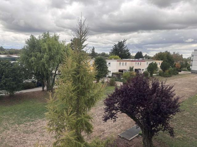 Wohnung kaufen in Boxberg, Heidelberg