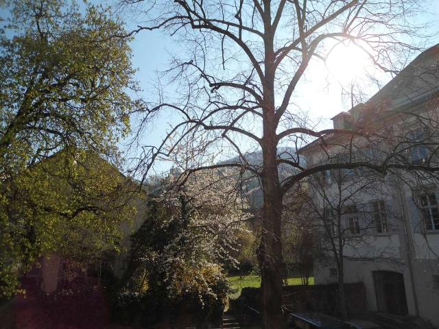 Wohnung kaufen in Altstadt, Heidelberg