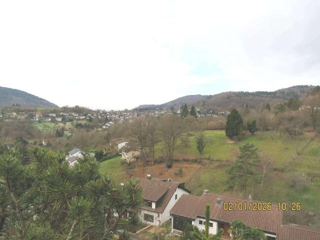 Wohnung kaufen in Ziegelhausen, Heidelberg