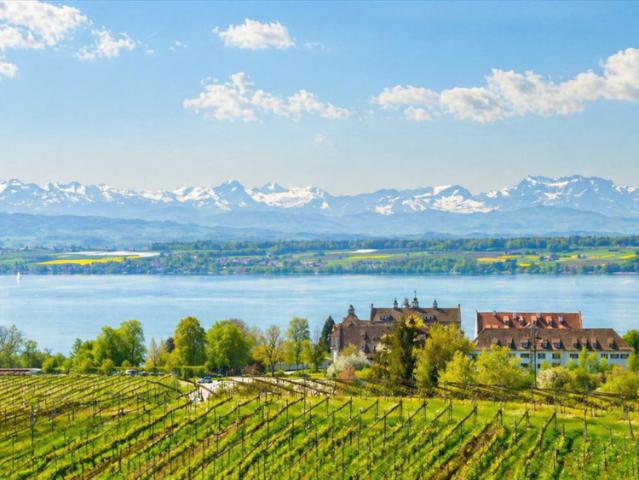 Wohnung kaufen in Immenstaad, Baden-Württemberg